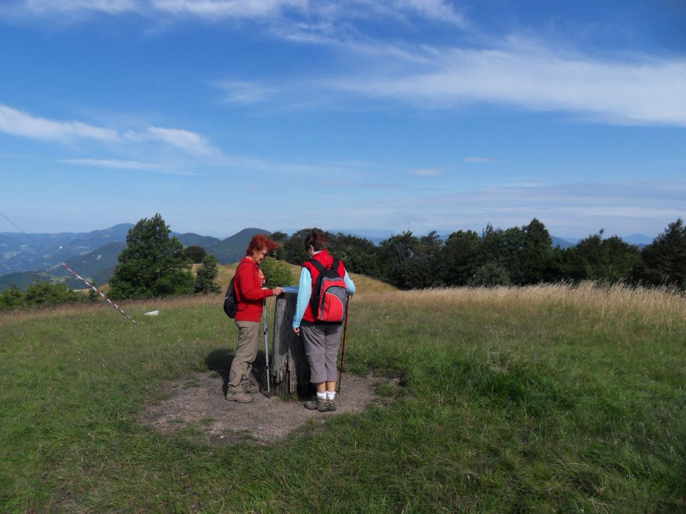 3. 7. 2011 - foto povečava