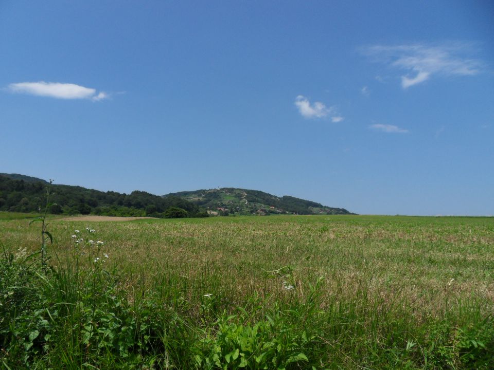 6. 7. 2011 - foto povečava