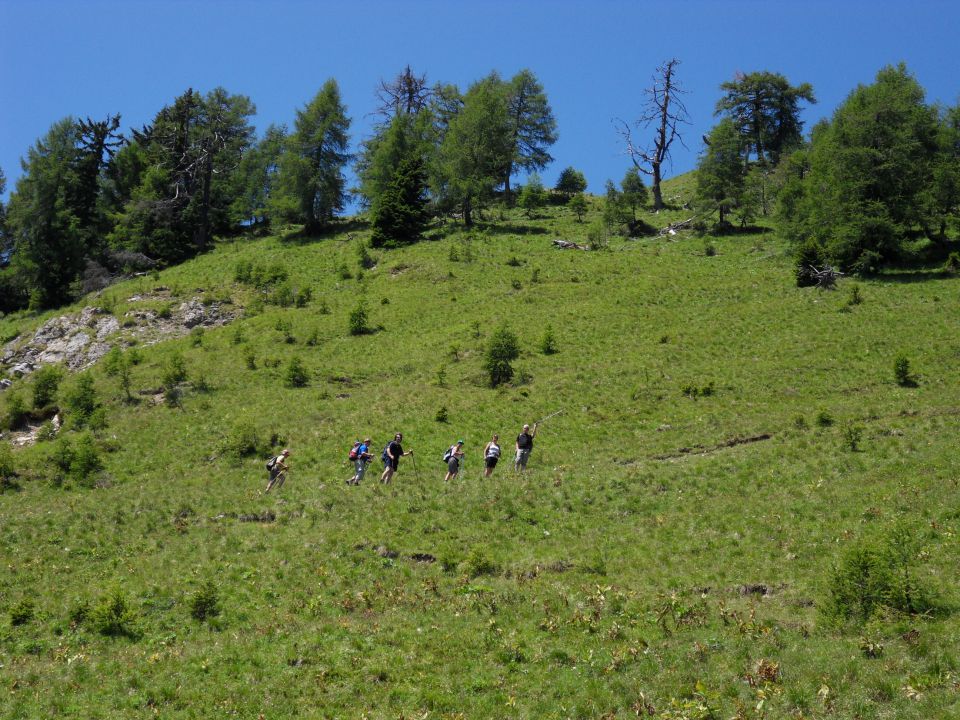 9. 7. 2011 - foto povečava