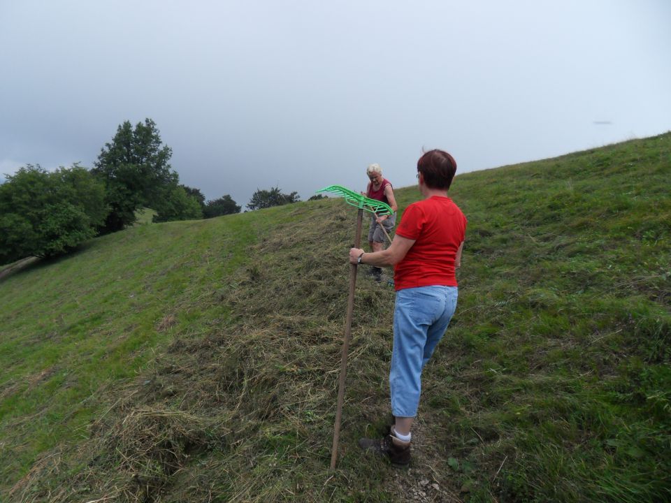 12. 7. 2011 - foto povečava