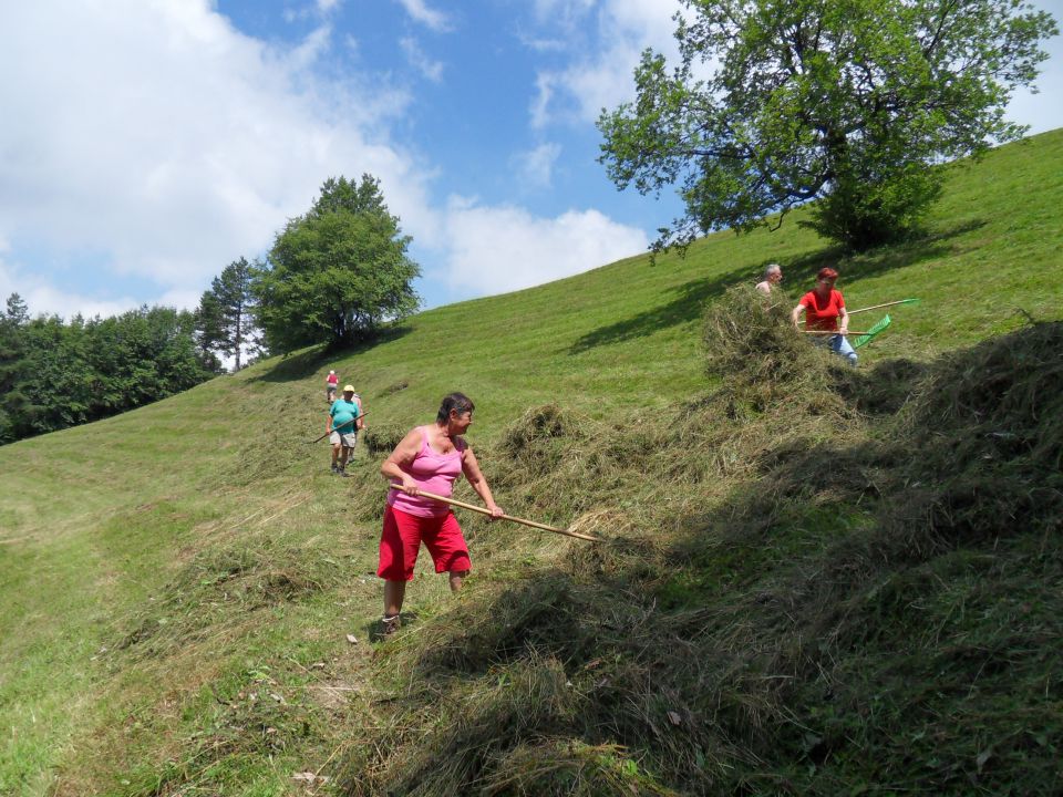 12. 7. 2011 - foto povečava