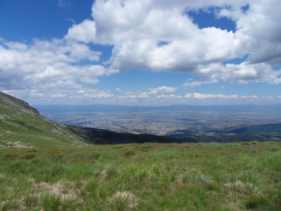 22. 7. 2011 - foto povečava