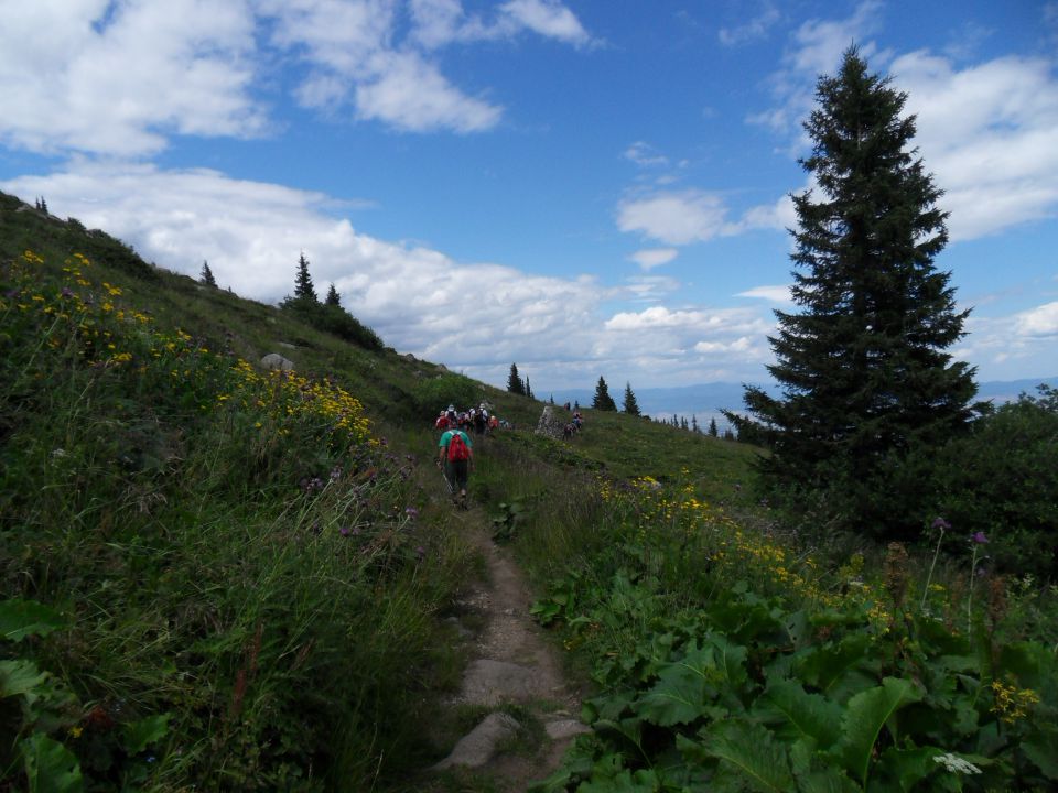 22. 7. 2011 - foto povečava