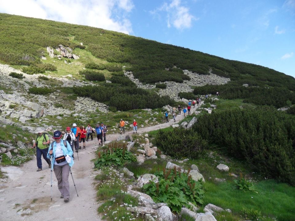 23. 7. 2011 - foto povečava