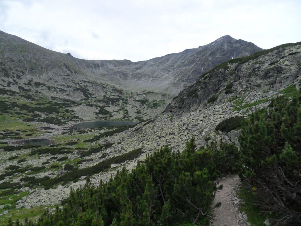 23. 7. 2011 - foto povečava