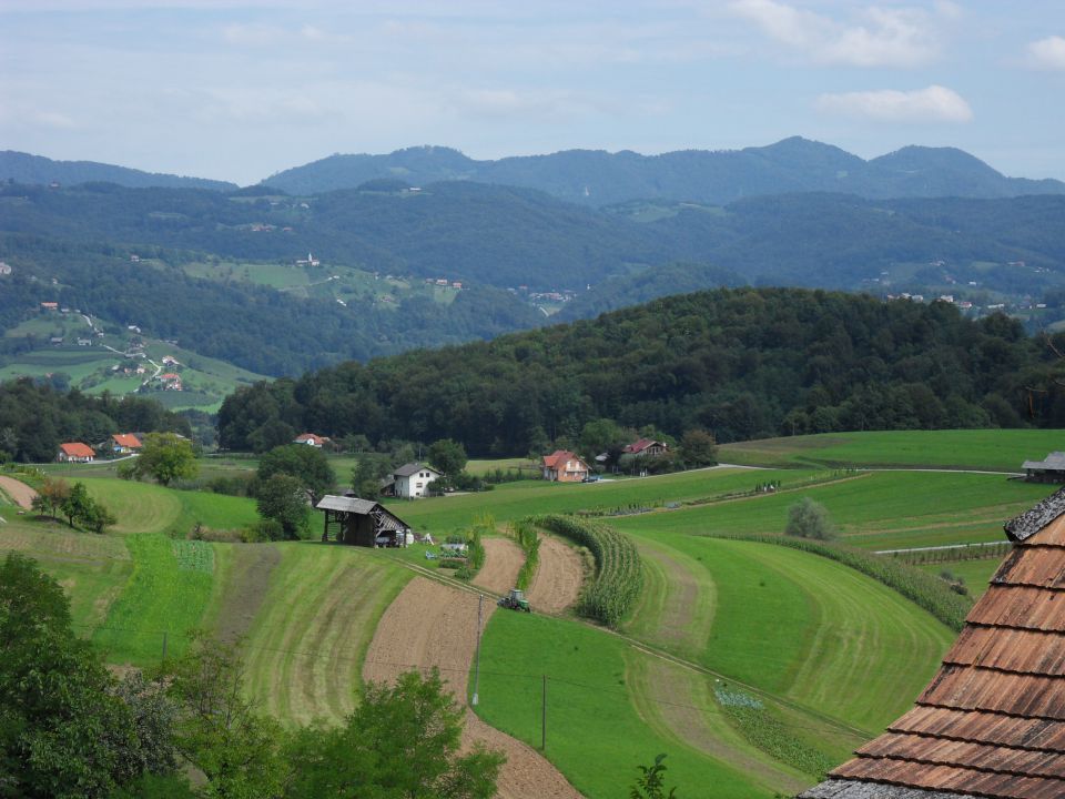 13. 8. 2011 - foto povečava