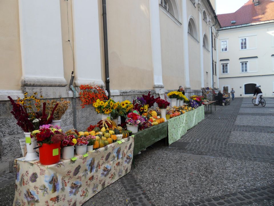 28. 9. 2011 - foto povečava