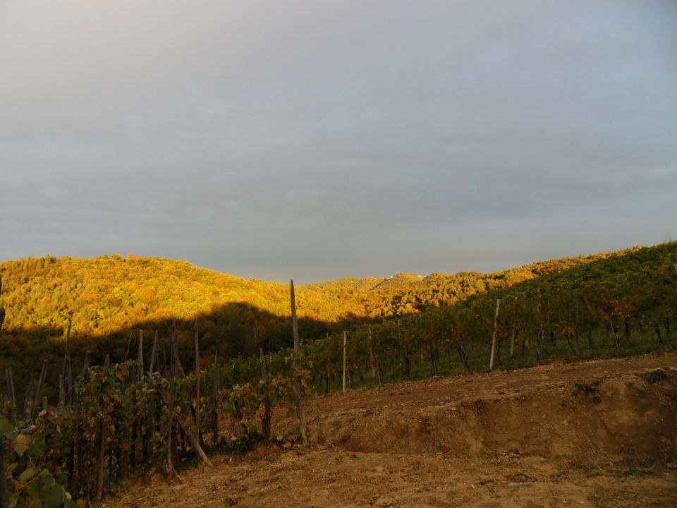 10. 10. 2011 - foto povečava