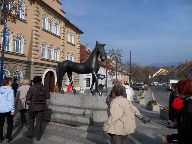 8. 11. 2011 - foto