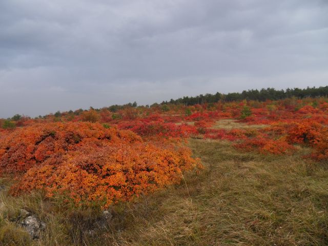 7. 11. 2011 - foto