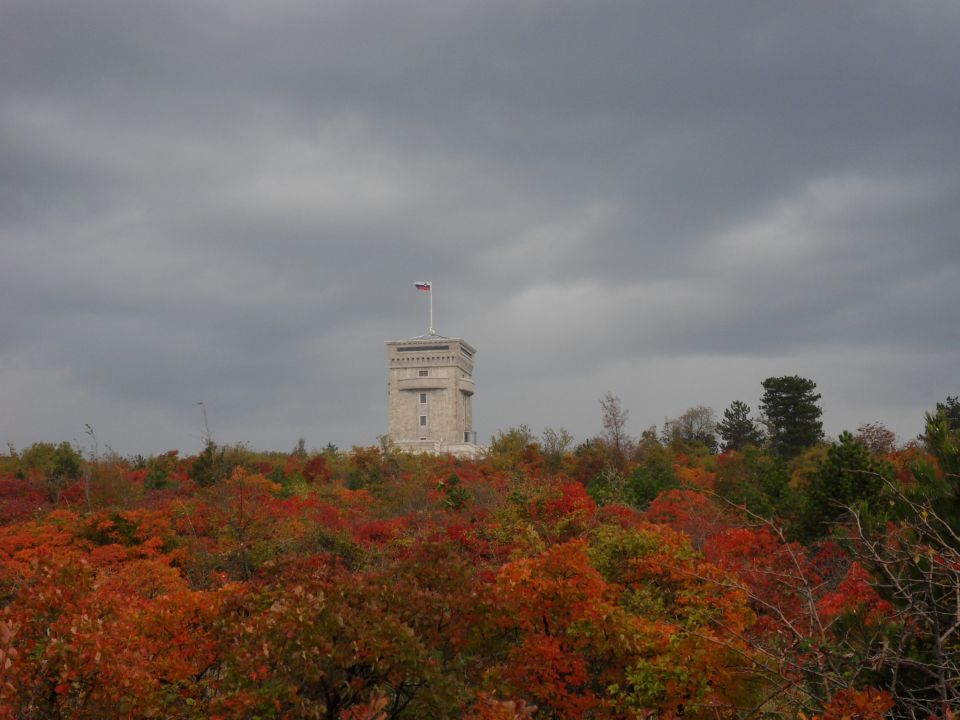 7. 11. 2011 - foto povečava