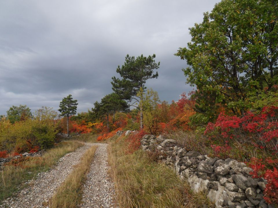 7. 11. 2011 - foto povečava