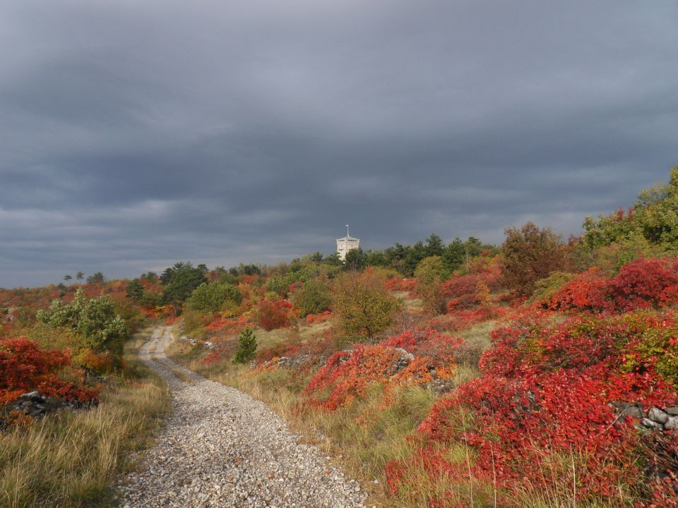 7. 11. 2011 - foto povečava