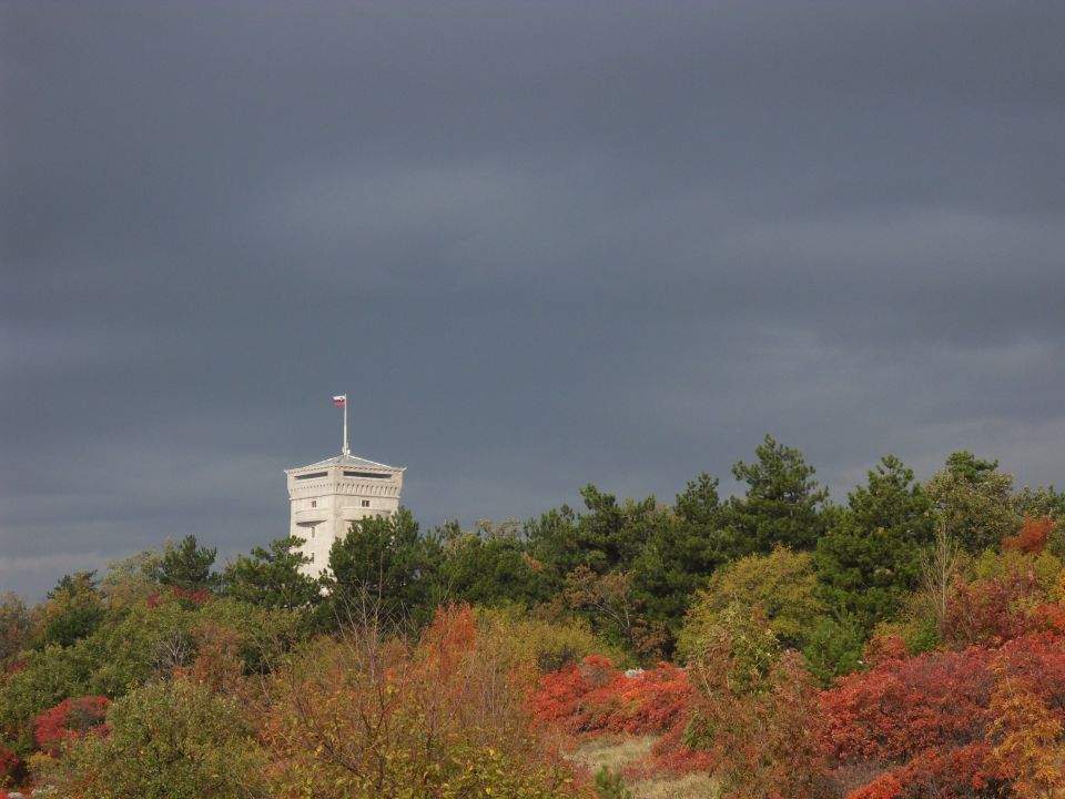 7. 11. 2011 - foto povečava