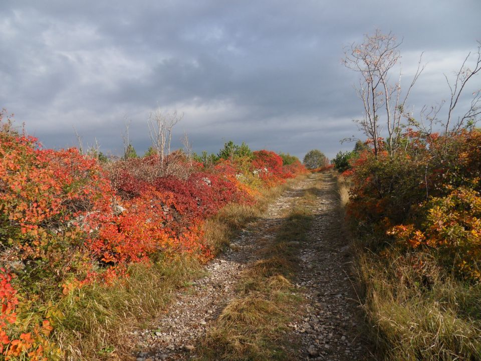 7. 11. 2011 - foto povečava