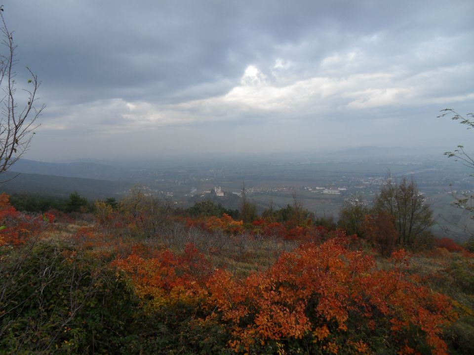 7. 11. 2011 - foto povečava