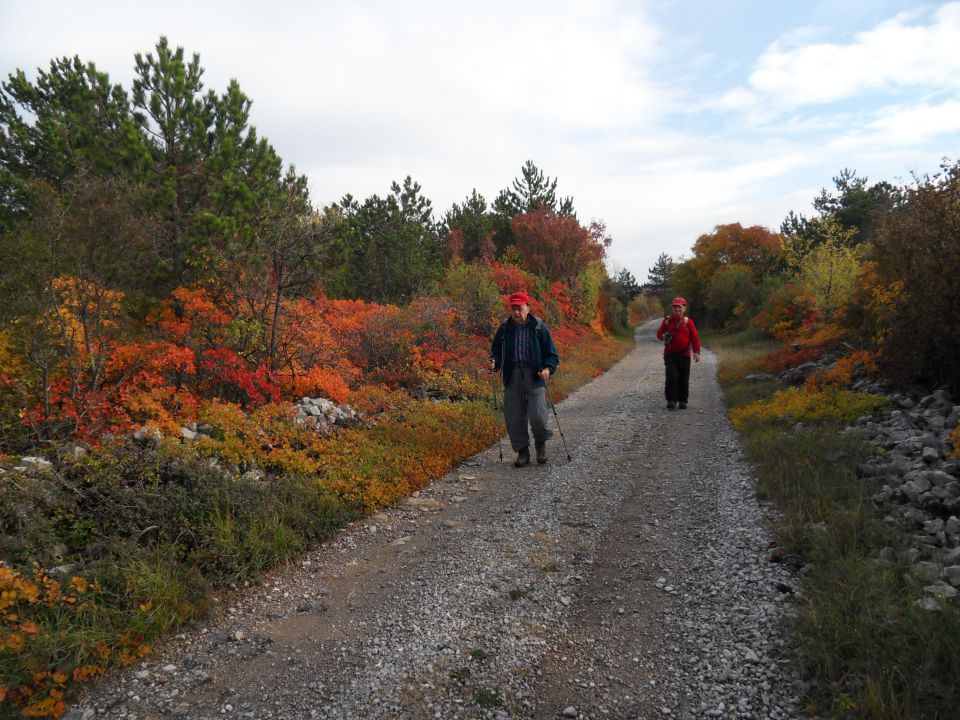 7. 11. 2011 - foto povečava