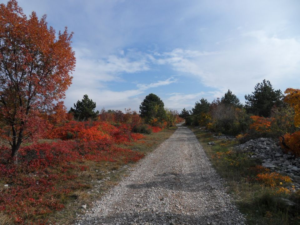 7. 11. 2011 - foto povečava