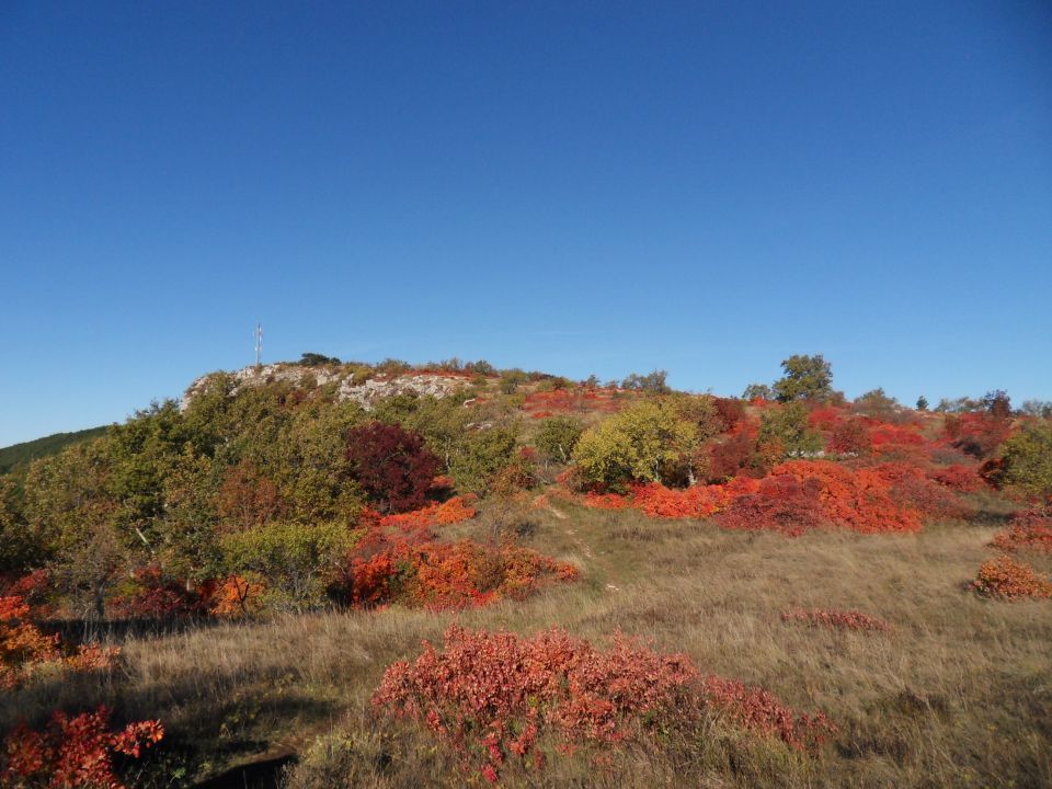 14. 11. 2011 - foto povečava