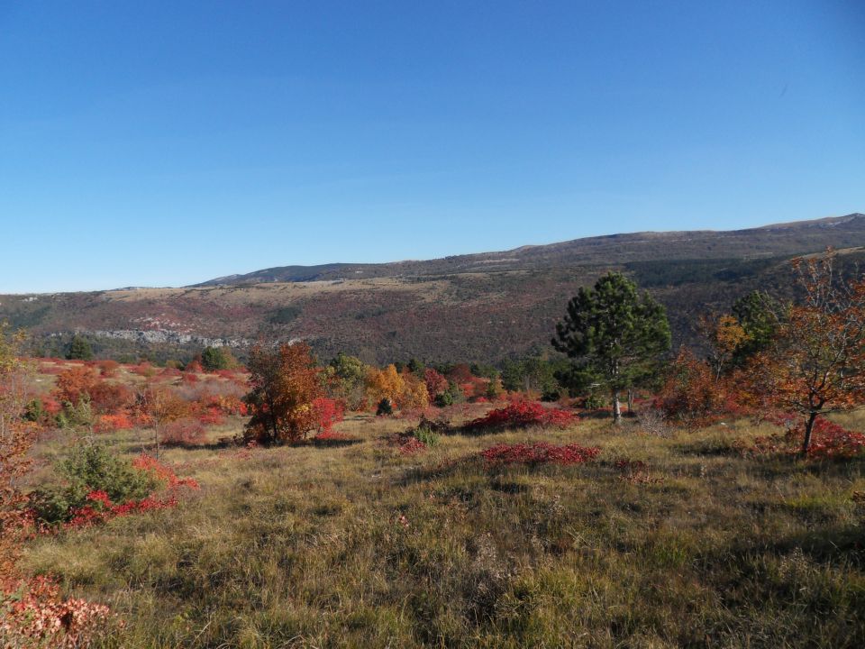 14. 11. 2011 - foto povečava