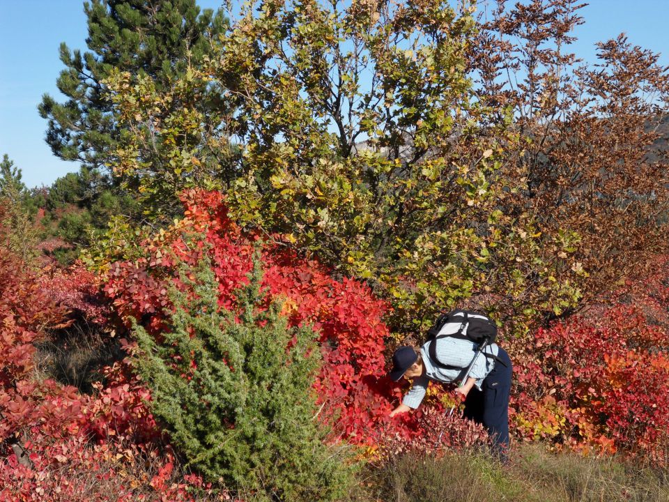 14. 11. 2011 - foto povečava