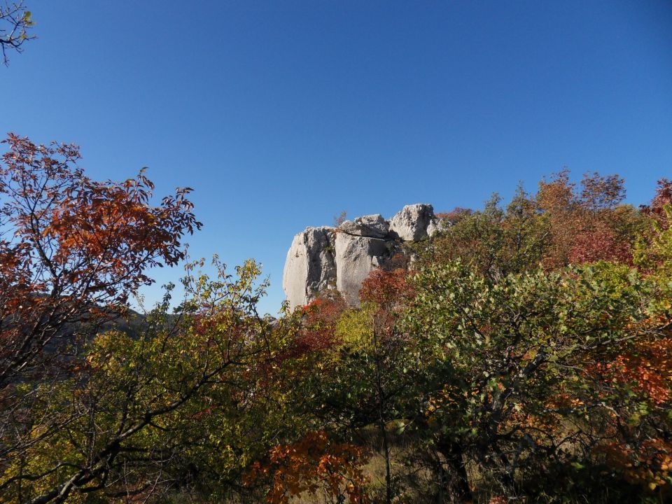 14. 11. 2011 - foto povečava