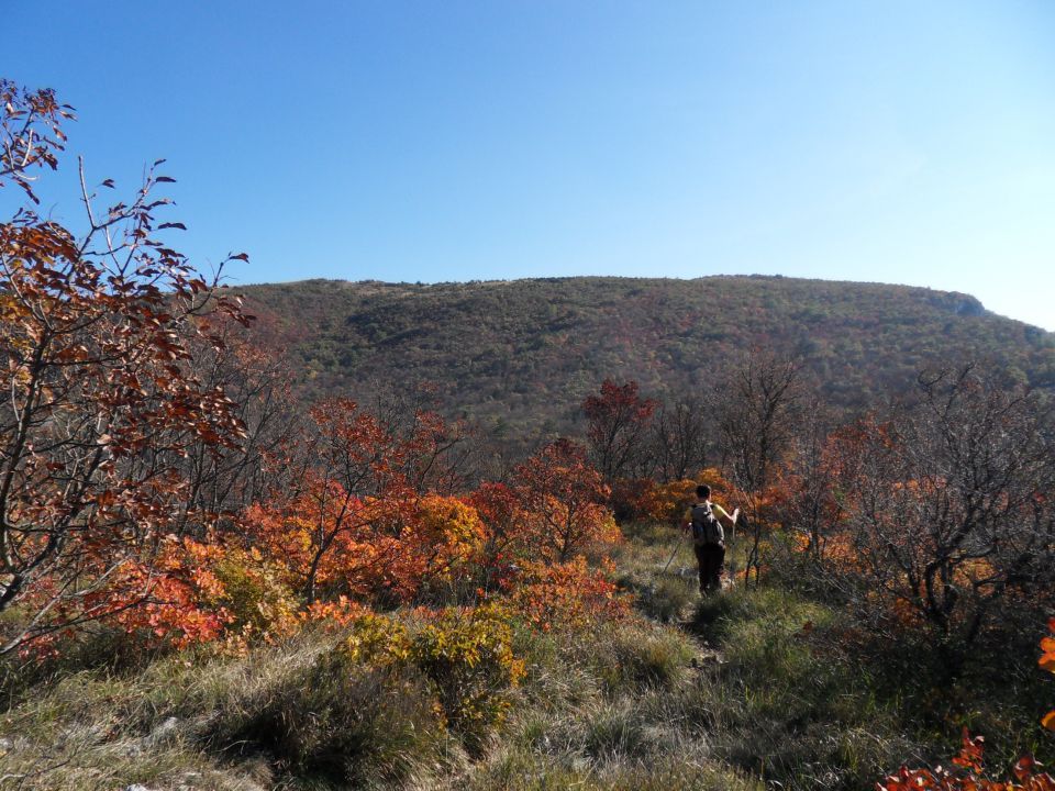 14. 11. 2011 - foto povečava