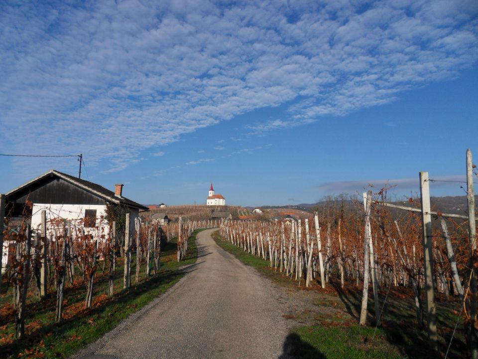 28. 11. 2011 - foto povečava