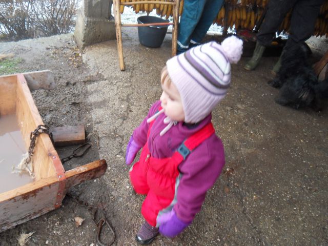 17. in 18. 12. 2011 - foto