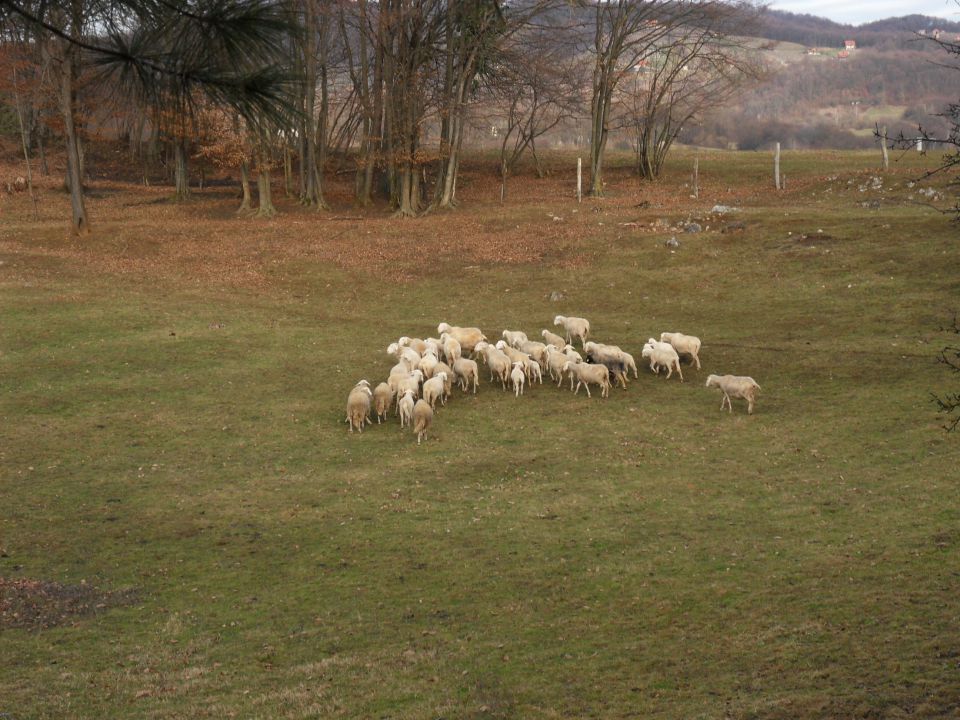 7. 1. 2012 - foto povečava