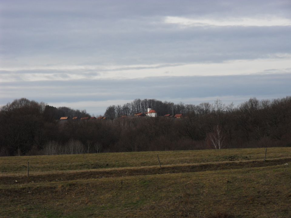 7. 1. 2012 - foto povečava