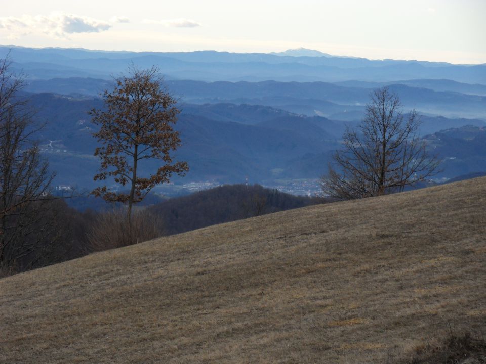 8. 1. 2012 - foto povečava