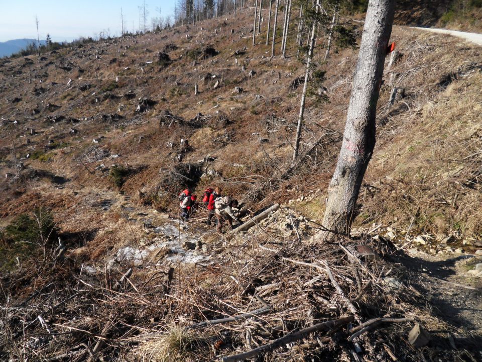 16. 1. 2012 - foto povečava