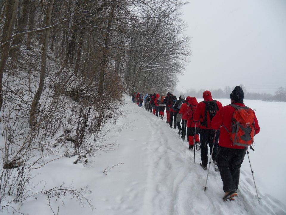 11. 2. 2012 - foto povečava