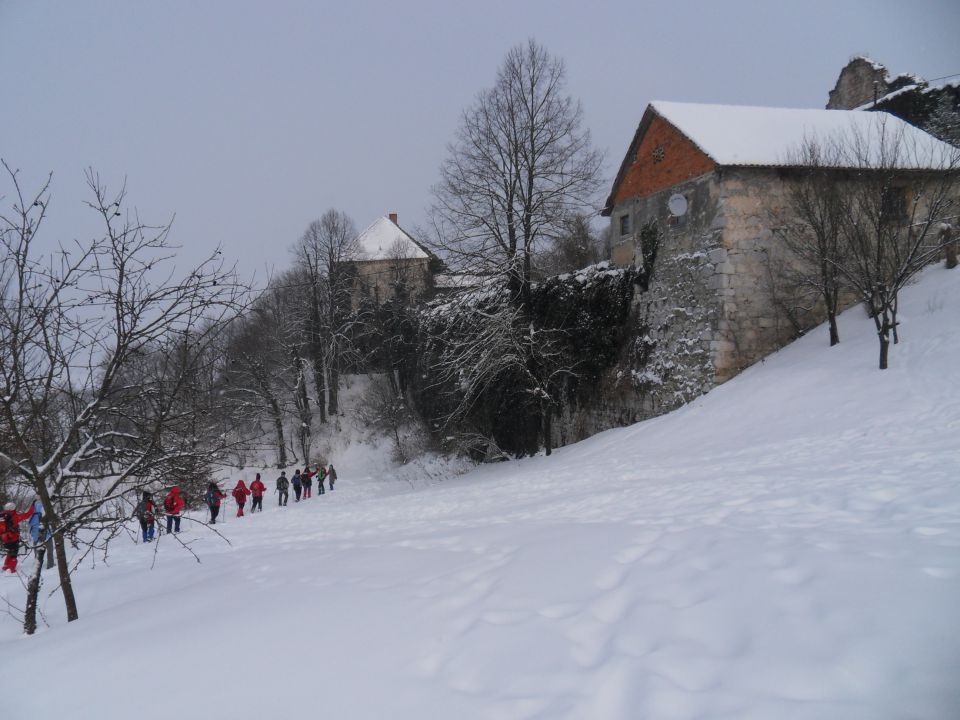 11. 2. 2012 - foto povečava