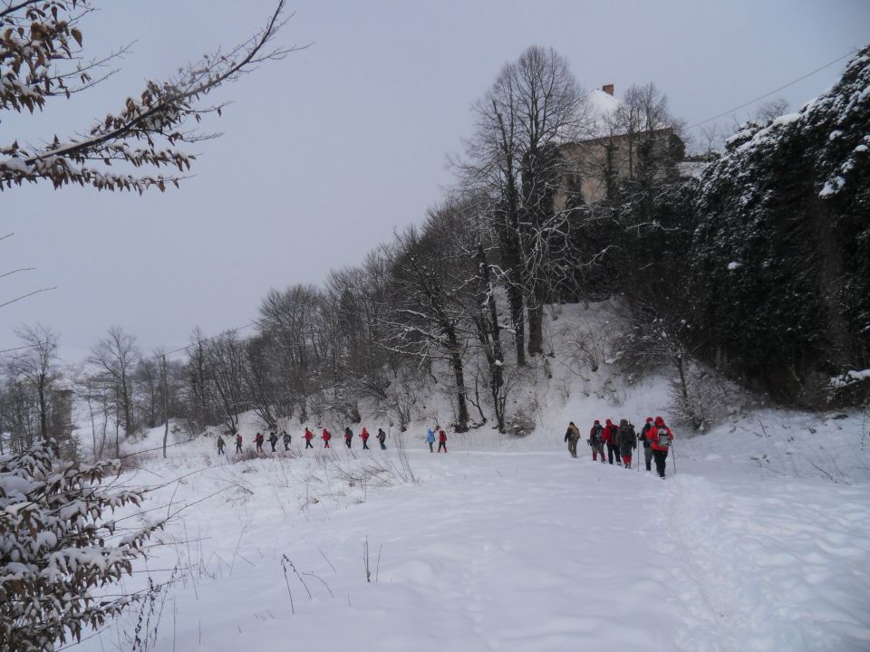 11. 2. 2012 - foto povečava