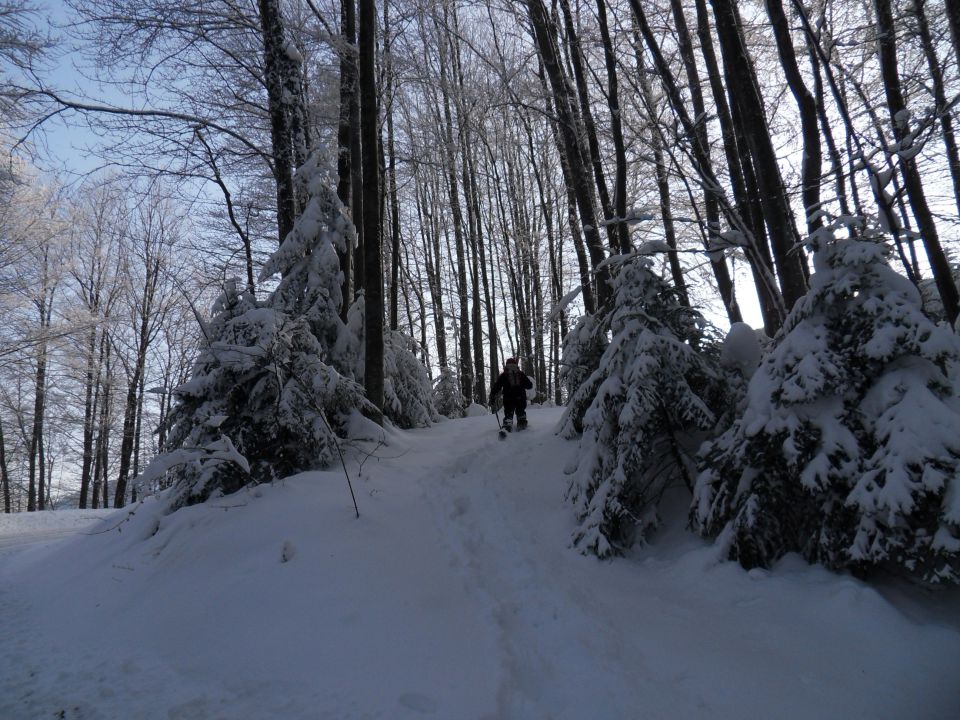 13. 2. 2012 - foto povečava