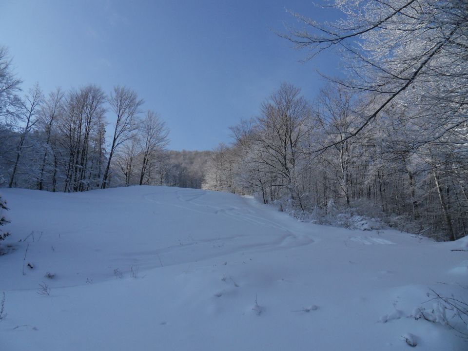 13. 2. 2012 - foto povečava