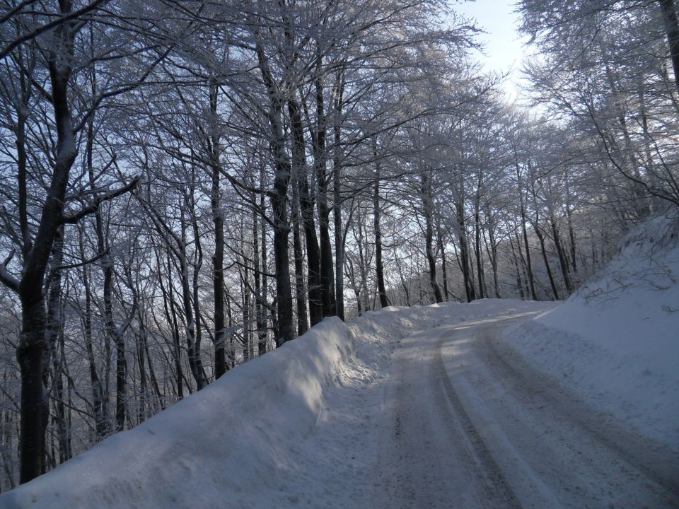 13. 2. 2012 - foto povečava