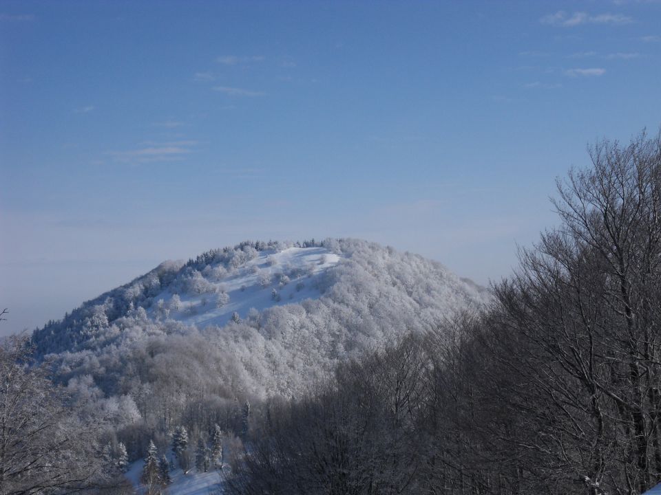 13. 2. 2012 - foto povečava