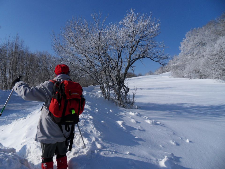 13. 2. 2012 - foto povečava