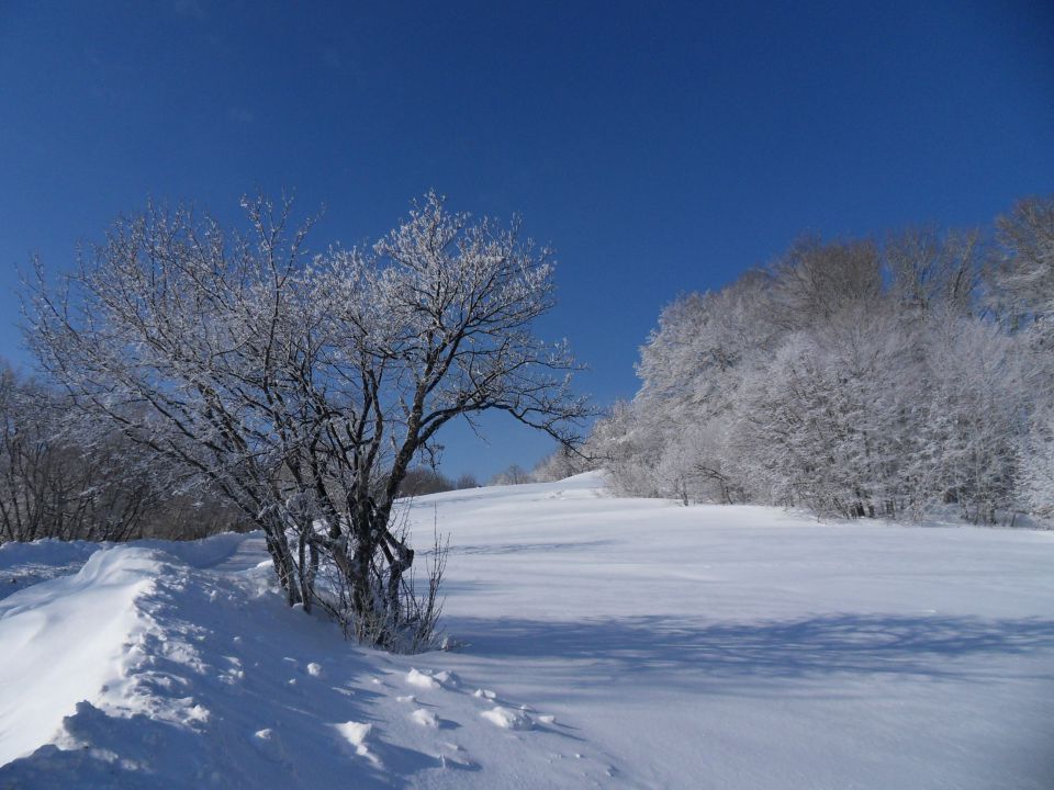 13. 2. 2012 - foto povečava