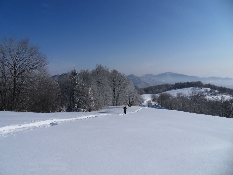 13. 2. 2012 - foto povečava