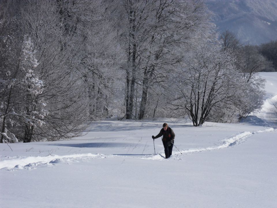 13. 2. 2012 - foto povečava