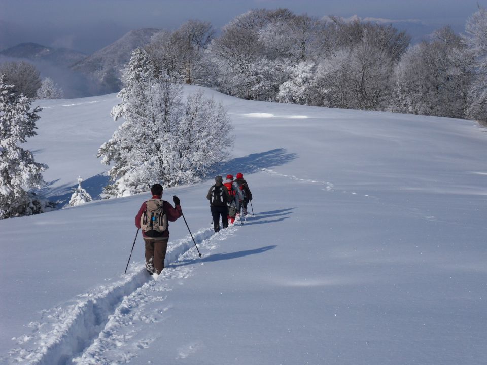 13. 2. 2012 - foto povečava