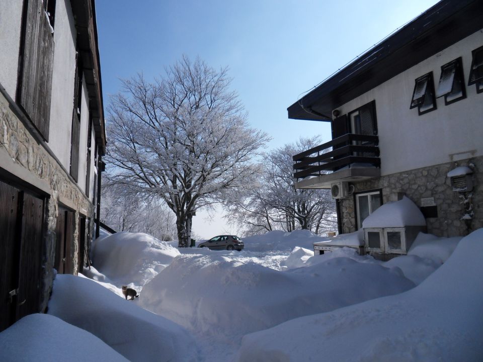 13. 2. 2012 - foto povečava