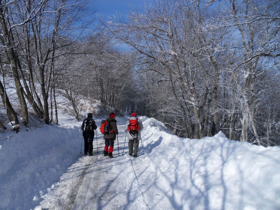 13. 2. 2012 - foto povečava