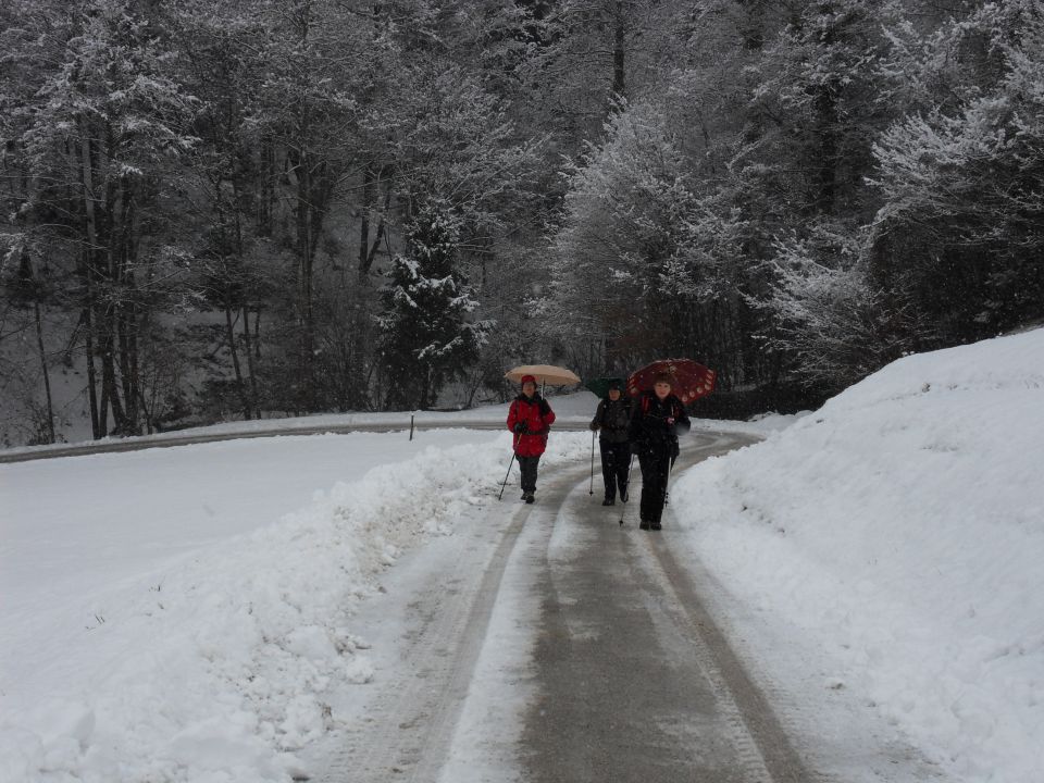 20. 2. 2012 - foto povečava