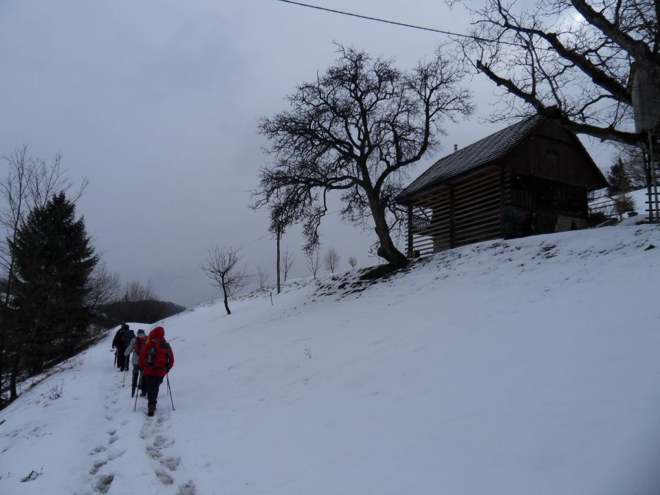 20. 2. 2012 - foto povečava