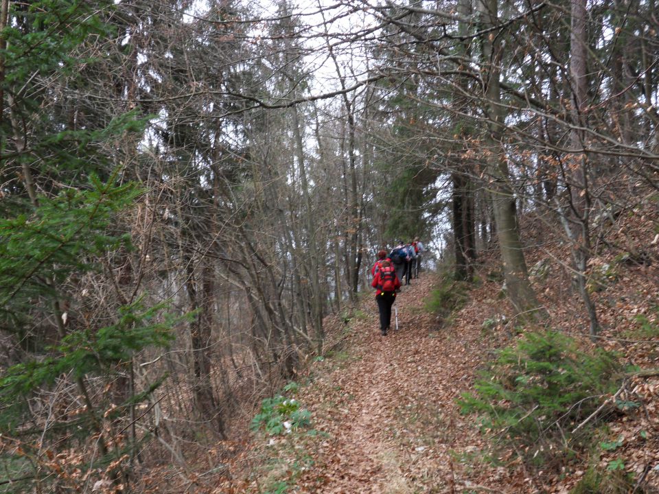 12. 3. 2012 - foto povečava